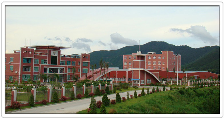 鈣鋅穩定劑廠家廣東煒林納