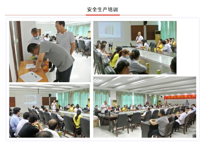 鈣鋅穩定劑【煒林納】安全生產月活動&mdash;&mdash;消除事故隱患，筑牢安全防線