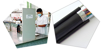 電線電纜復(fù)合熱穩(wěn)定劑產(chǎn)品檢測(cè)